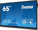 IIYAMA Monitor dotykowy iiyama ProLite TE6512MIS-B3AG 163,8cm (65") 4K UHD HDMI/VGA/USB