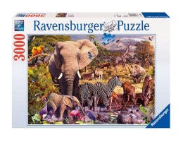 Ravensburger Puzzle 3000el Zwierzęta Afryki 170371 RAVENSBURGER p6