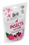 Brit Brit Care Dog Insects&Lamb - Przysmak dla psa - 200 g