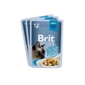 Brit Brit Premium Family Plate dla kotów saszetki w sosie mix smaków 12x85g