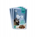 Brit Brit Premium Family Plate dla kotów saszetki w sosie mix smaków 12x85g