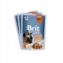 Brit Brit Premium Family Plate dla kotów saszetki w sosie mix smaków 12x85g