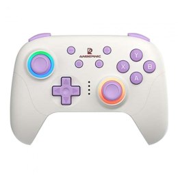 ANBERNIC Gamepad ANBERNIC P01 Beige White